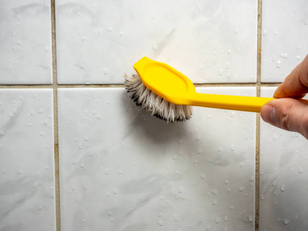 Best Residential Mold Remediation in Dearborn Heights, MI