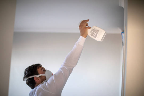 Best Mold Testing and Inspection Services in Dearborn Heights, MI