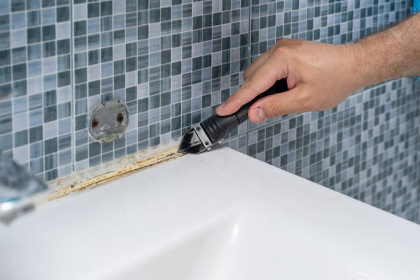 Best Localized Mold Remediation (e.g., coastal areas, humid climates) in Dearborn Heights, MI