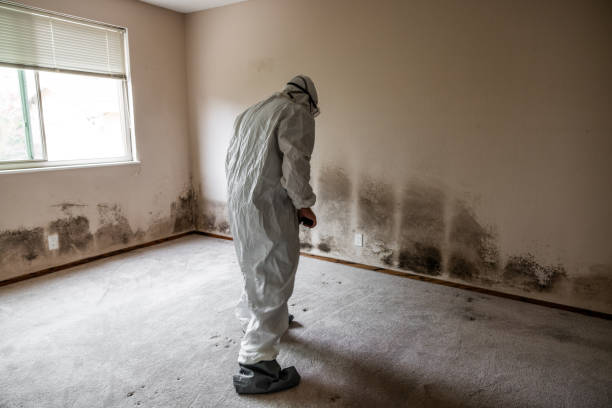 Best Industrial Mold Remediation in Dearborn Heights, MI